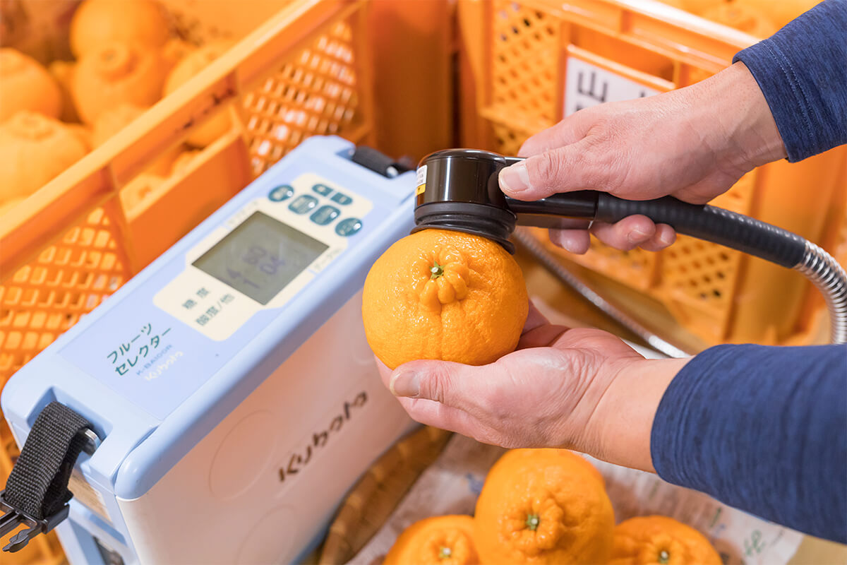 光センサーチェック 写真