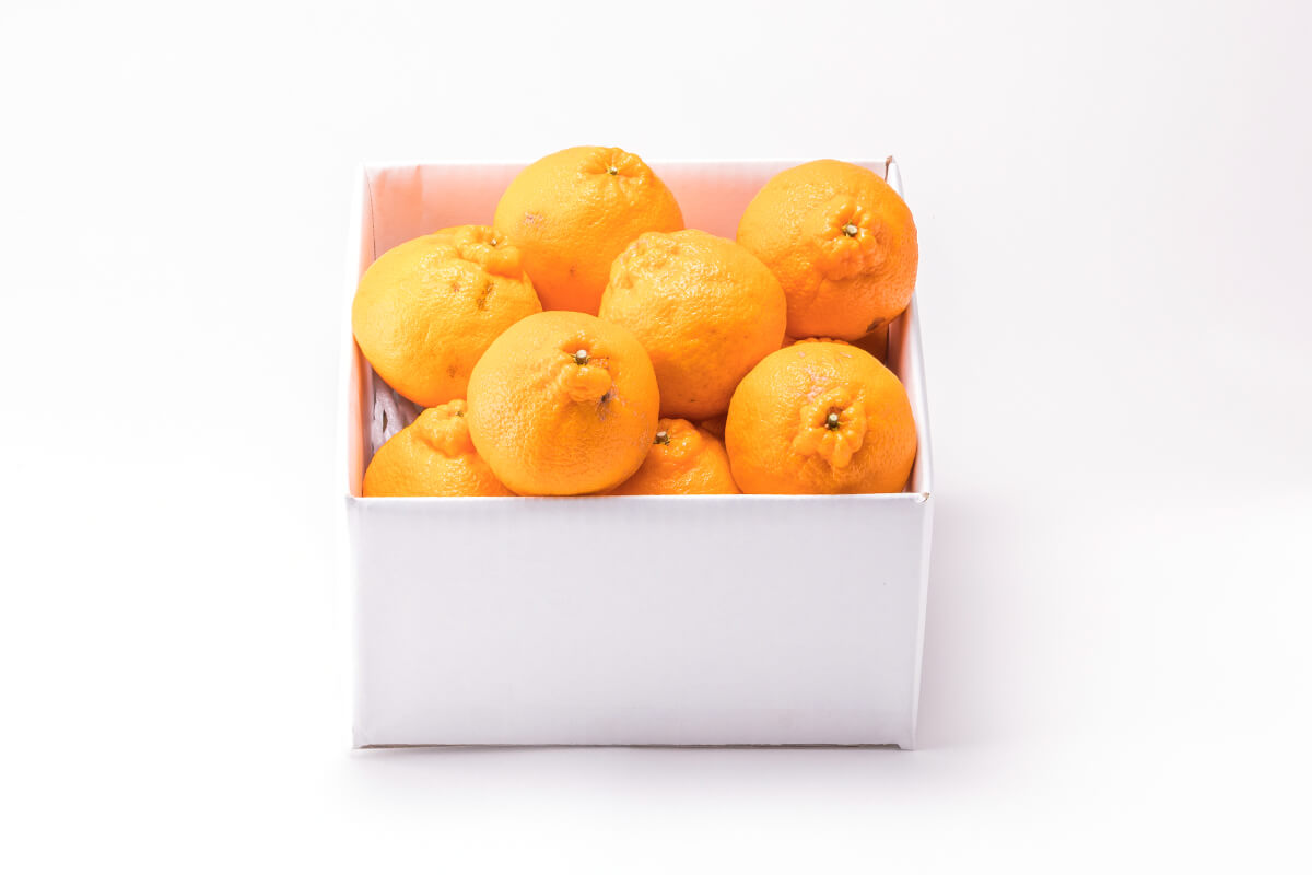 大将季(だいまさき)ご家庭用 写真