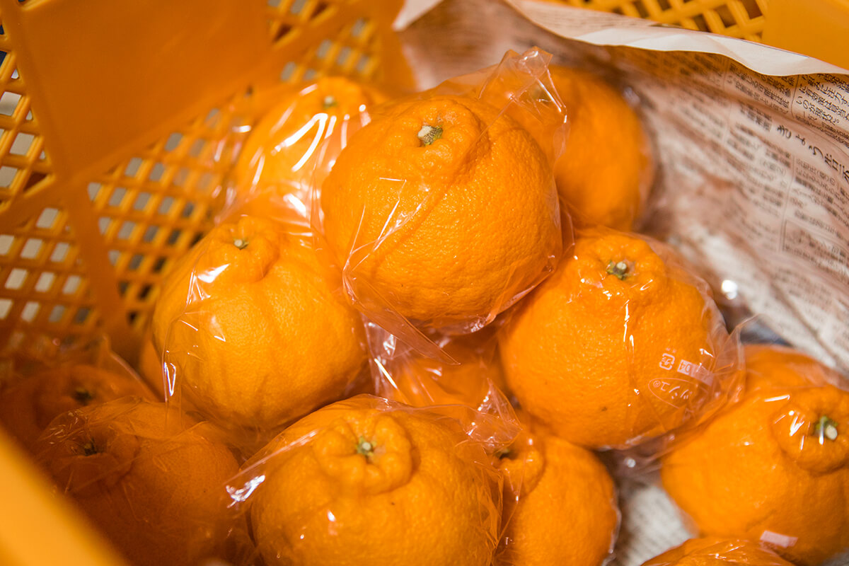 大将季 包装 ポリ個装 蔵出し 写真